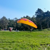 Lijak 2015