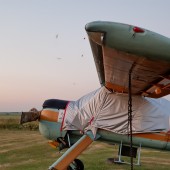Towarzystwo Lotnicze Świebodzice kurs podstawowy 2018 dzień 7, Na koniec dnia inwazja majowych chrząszczy ;), a właściwie to czerwcowych.