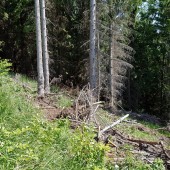 Grzmiąca Paragliding Fly, Powrót na chłodno na miejsce przyziemienia.